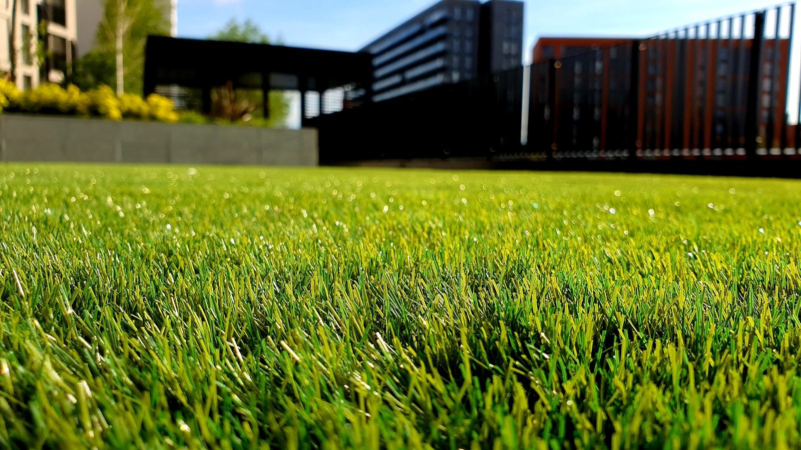 Lush green hydroseeded lawn in Halifax NS